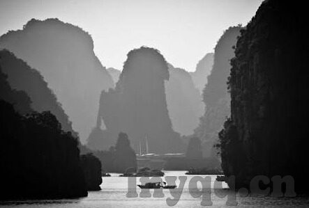 超碰97免费人妻-探索成人娱乐的边界，超碰97免费人妻的背后
