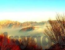 成人激情视频网站-成人激情视频网站，网络时代的私密探索与边界探讨