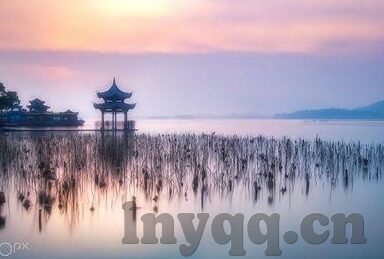 成人免费在线视频大全-成人免费在线视频的多元化选择与注意事项