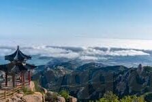 大象传媒2022密密入口-2022年大象传媒，解锁密密入口的创意之旅