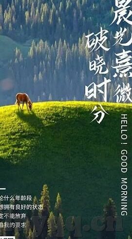 大象传媒综艺-探索大象传媒综艺的多元魅力与文化影响
