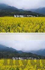 果冻传媒出品张美娜-探索果冻传媒的璀璨新星，张美娜的多元魅力