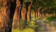 两性视频麻豆-不可轻视的数字，光影之下的盲点