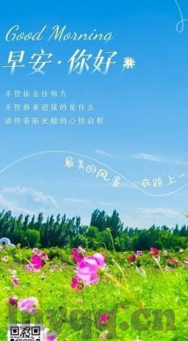 麻豆传媒app-麻豆传媒——网络色情应用的灰色地带