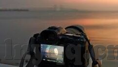 麻豆传媒映画网站-麻豆传媒，透视网络视频文化的一瞥