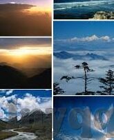 麻豆经济模特app-麻豆经济模特——指尖的艺术魅力