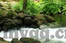 日韩av视频-日韩影视文化中的AV视频现象，多元视角下的文化交流与影响