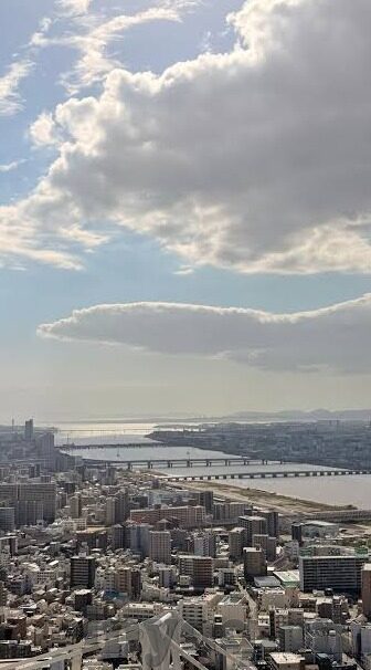 糖心app_免费下载-体验不凡——糖心APP免费下载与探索