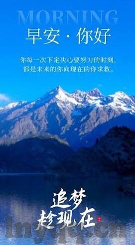 糖心官方app色-糖心APP的诱惑，数字化时代下的清醒深思