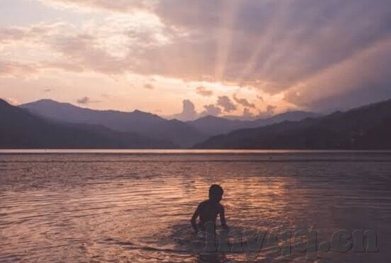 糖心vlog视频APP-糖心vlog视频APP的魅力与启示——记录与分享的非凡旅程
