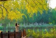 乌鸦传媒麻豆精品-乌鸦传媒与麻豆精品，艺术与创新的交融新视角