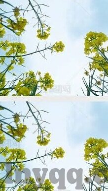 www.日韩av在线-日韩影视文化中的独特魅力，在线平台探索与欣赏指南
